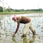 বন্যায় ৭ জেলায় ক্ষতি ৫ হাজার কোটি টাকা | ASH NEWS